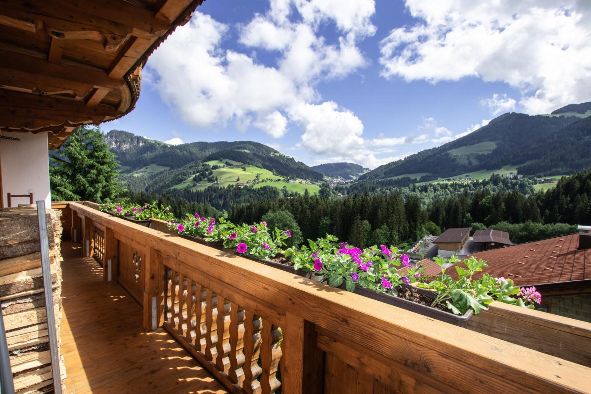 Gittis Ferienwohnung Panorama Wild31 Bernau  外观 照片